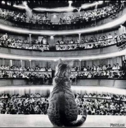 В мире творятся немыслимые безумства