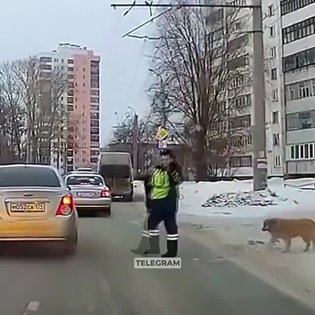 Бывает и так