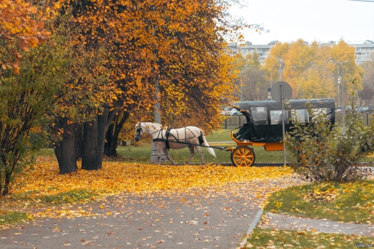 Москва
