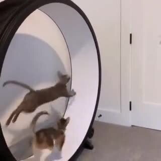 Тыгыдыки