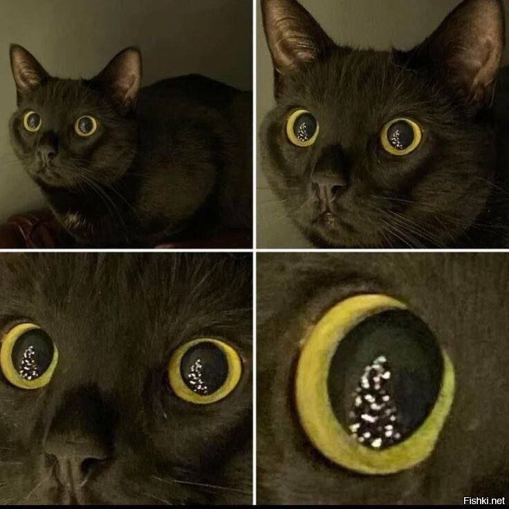 Скоро