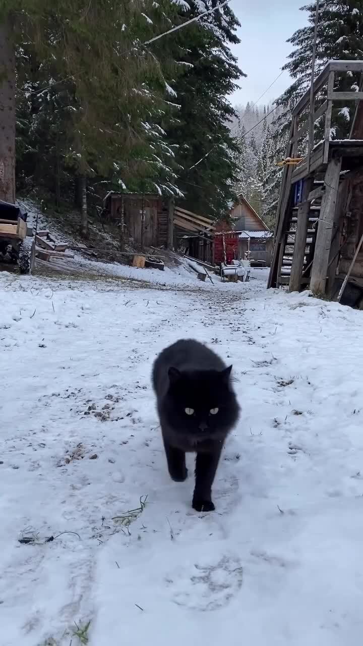 Река Чусовая —  на Среднем Урале, левый приток Камы