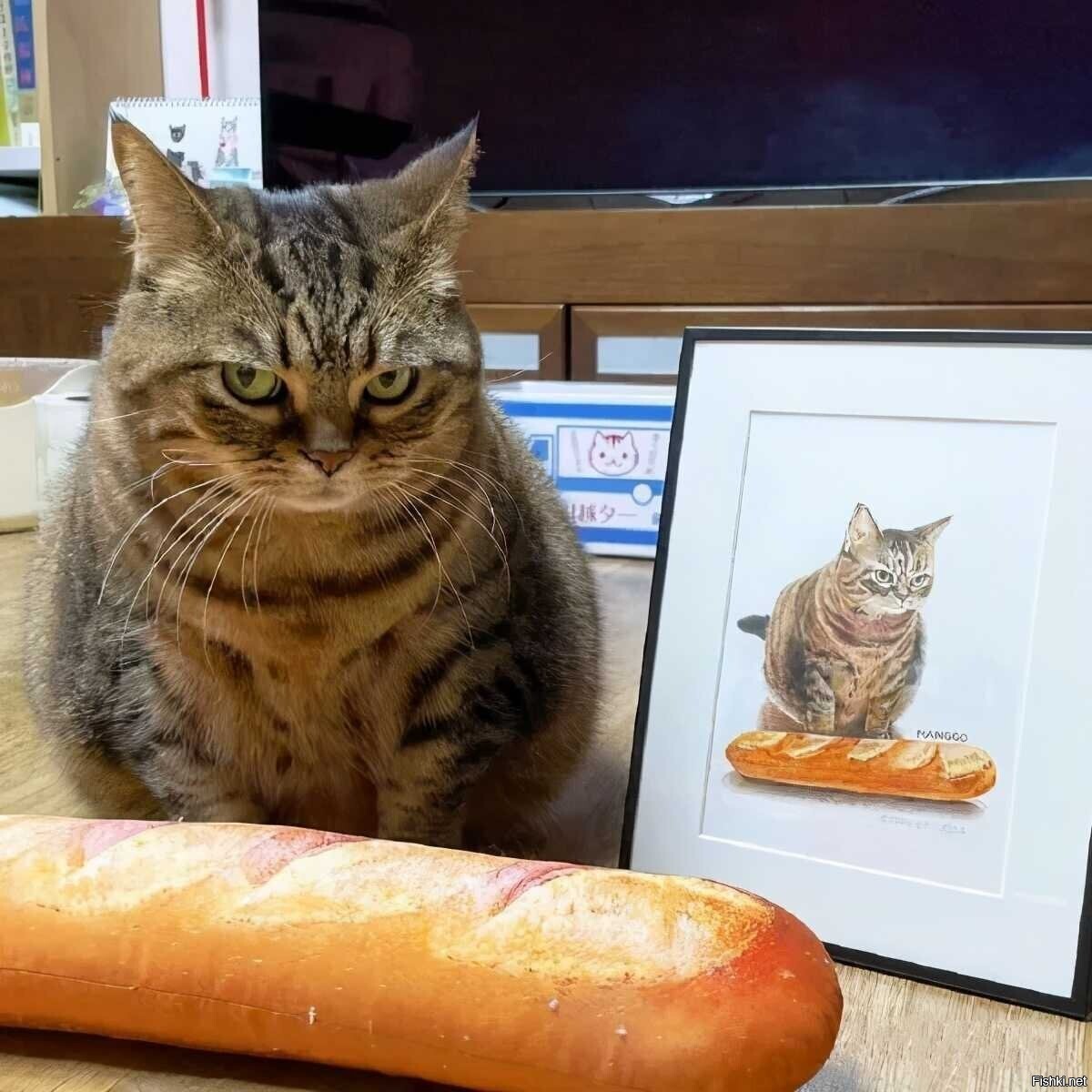 Доброе утро