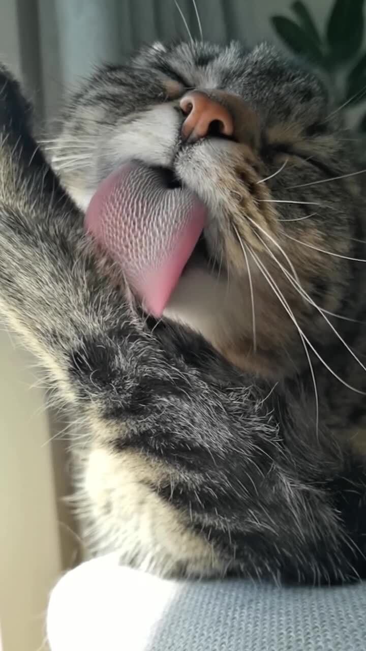 Шершавенький)