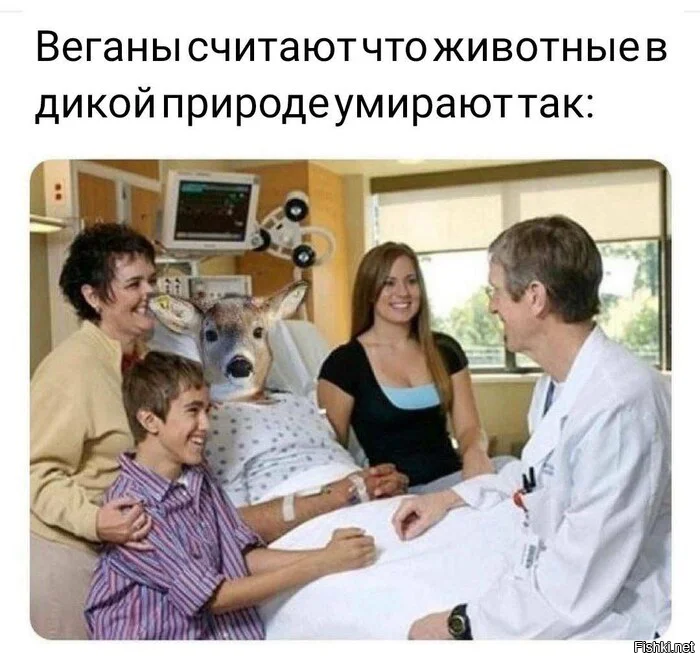 Поэтому они не едят мясо