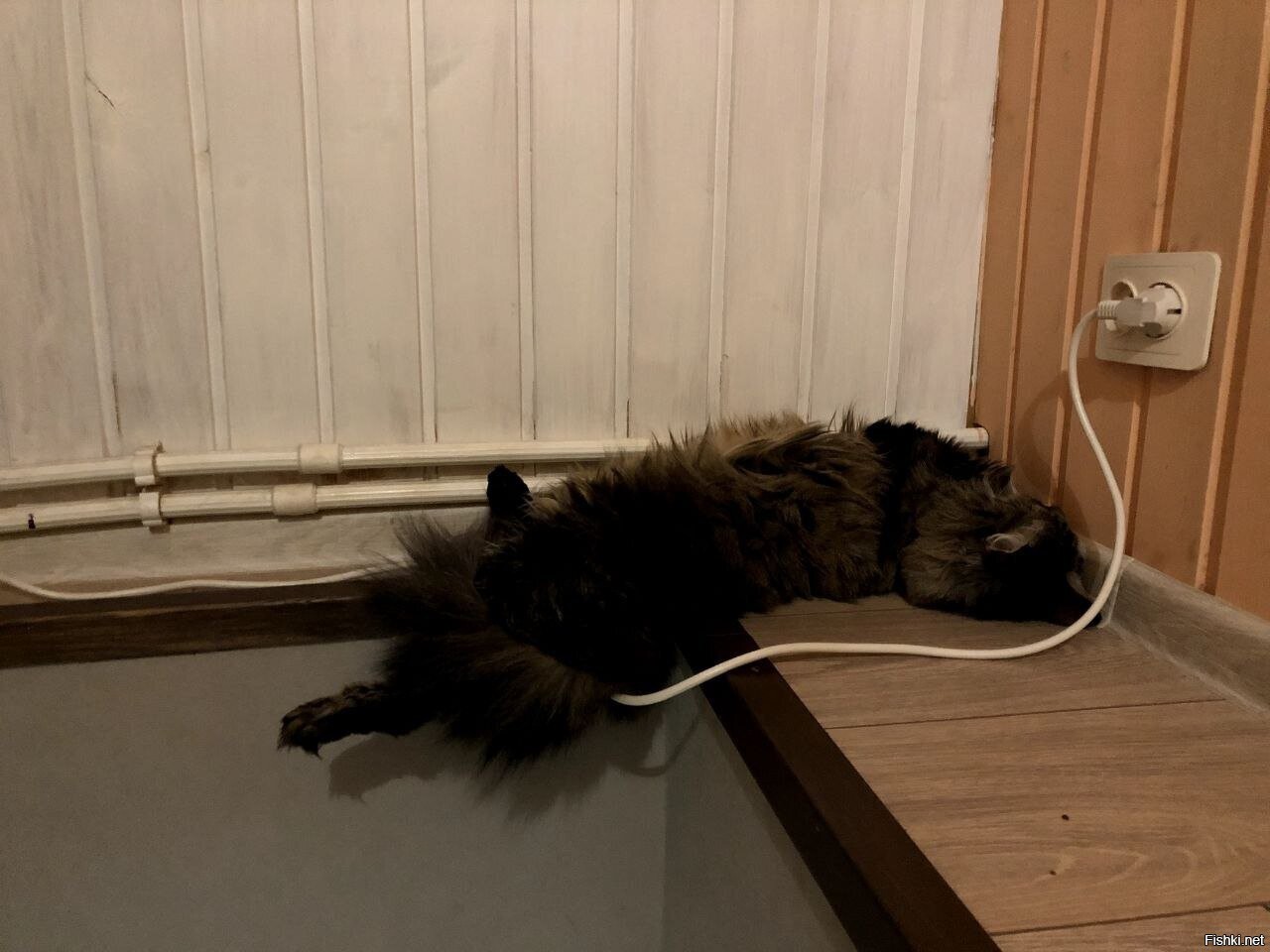 Солянка