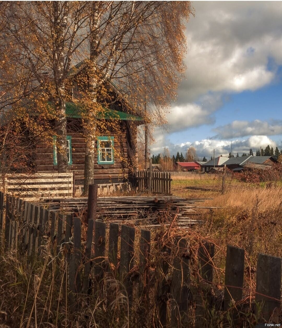 Солянка