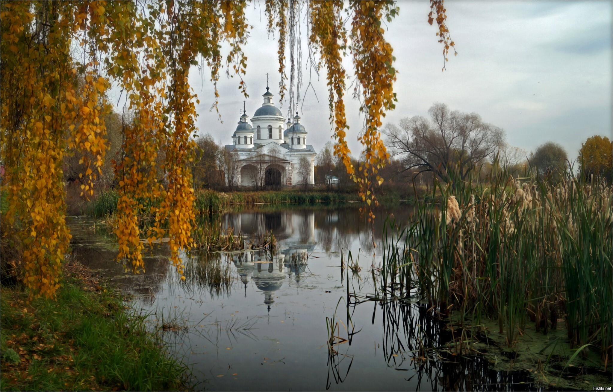Солянка