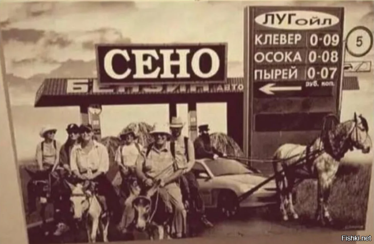 Солянка