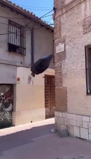 Танцующий пакет)