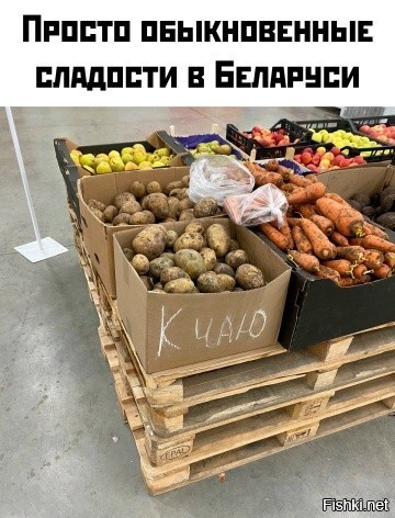 Солянка