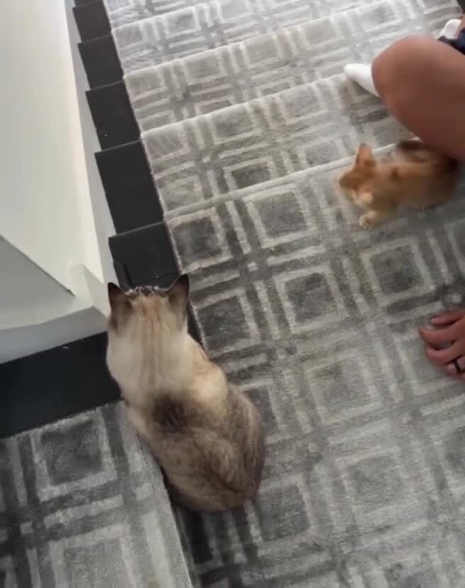 Драка через блютуз