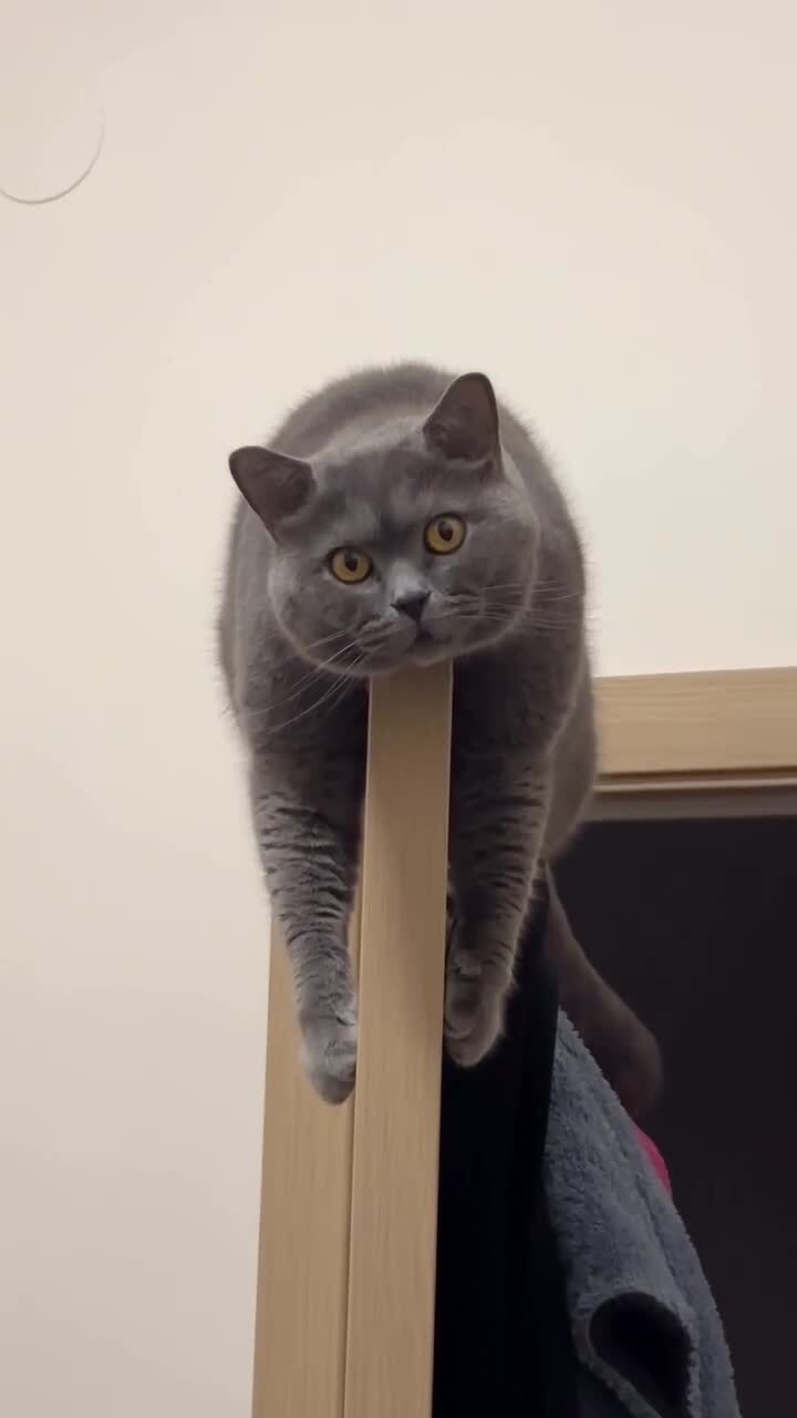 Удобно устроился)