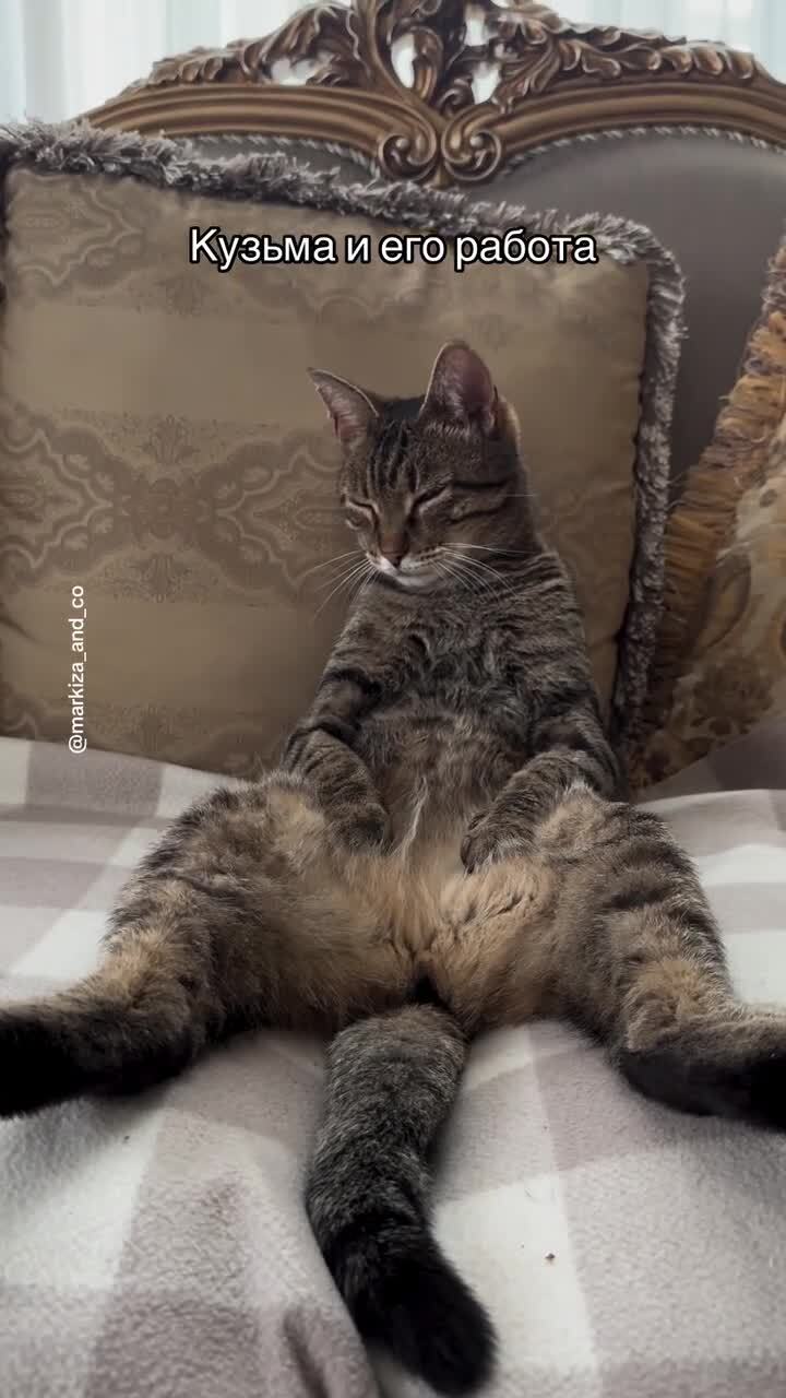 на работе)