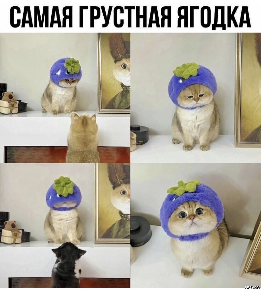 Доброе утро
