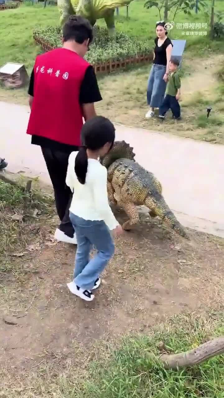 Юные посетители китайского парка развлечений в восторге: они играют с маленьк...