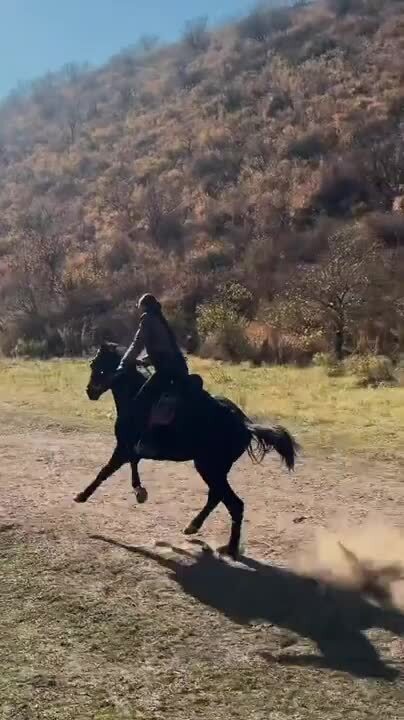 Ну, во-первых это красиво