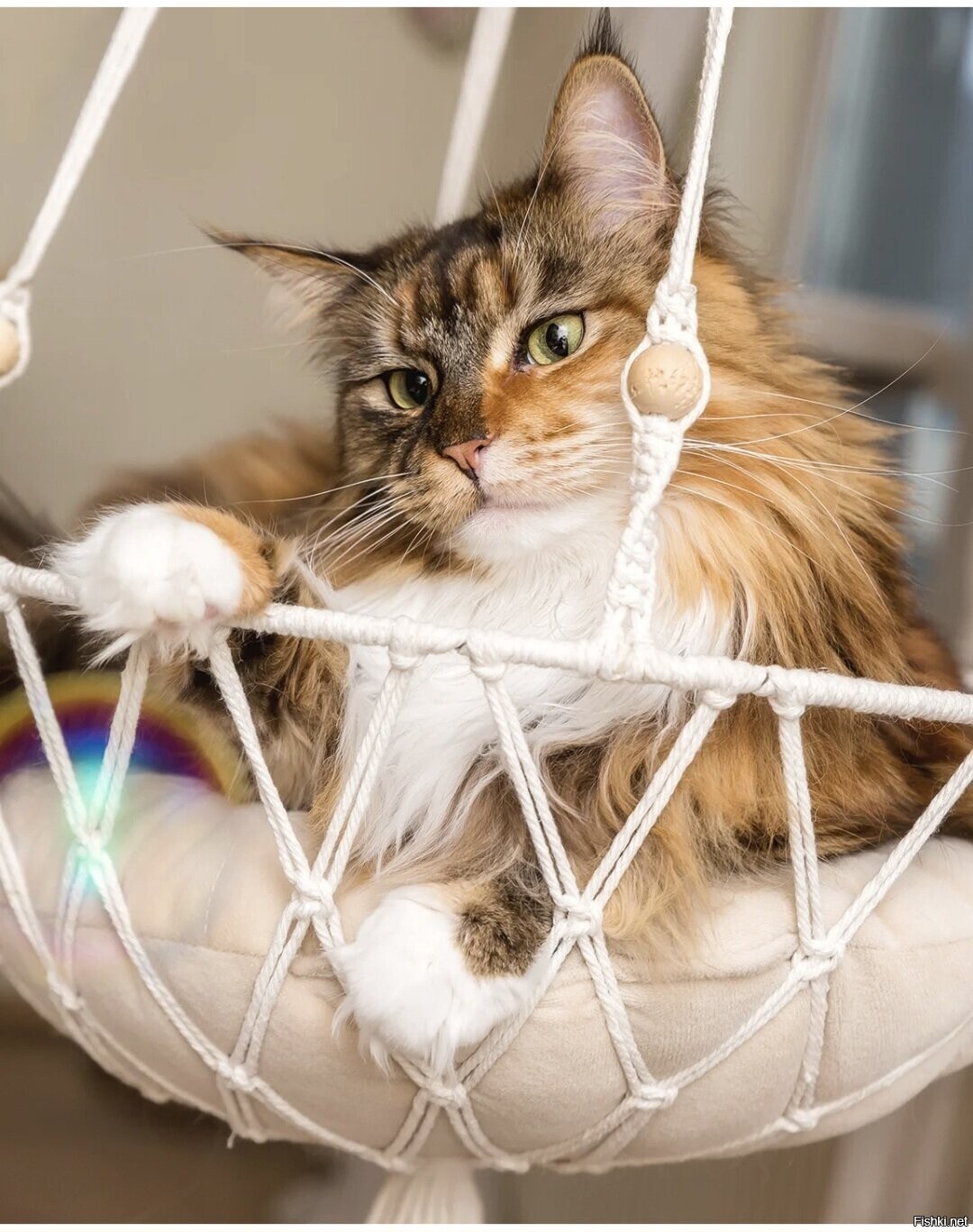 Доброе утро