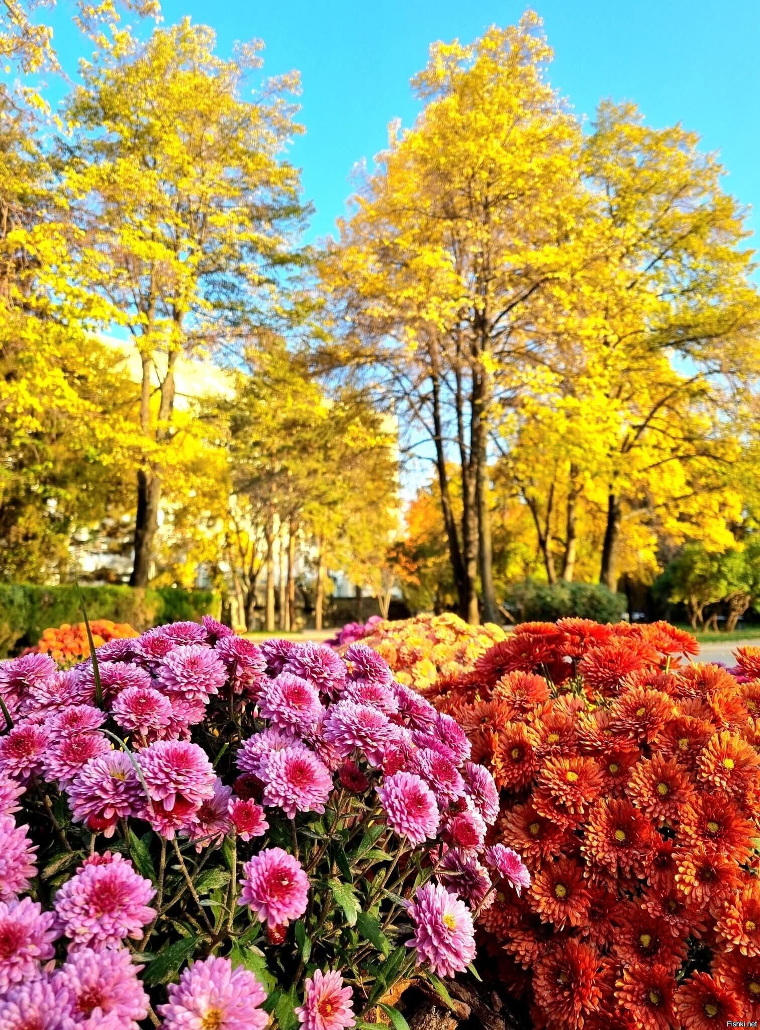 Алматинская осень