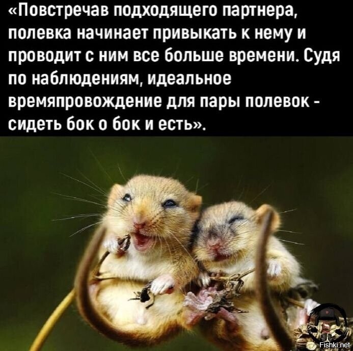 Так у людей это так же работает