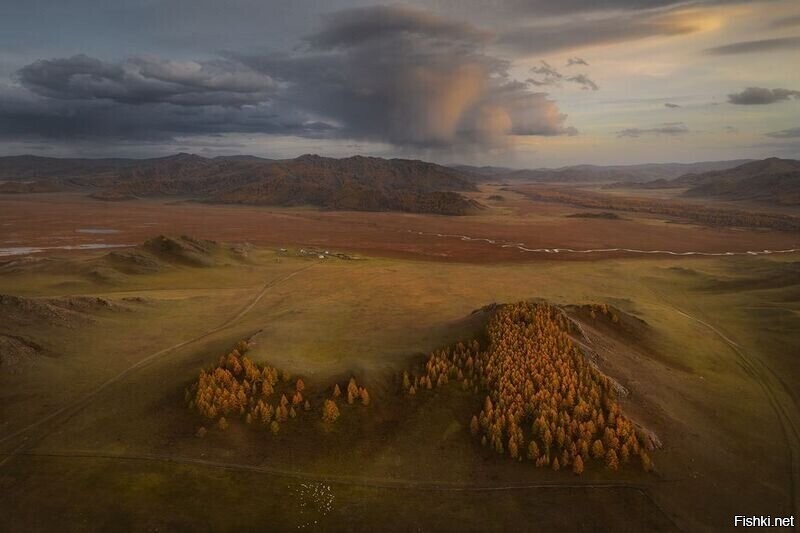Солянка