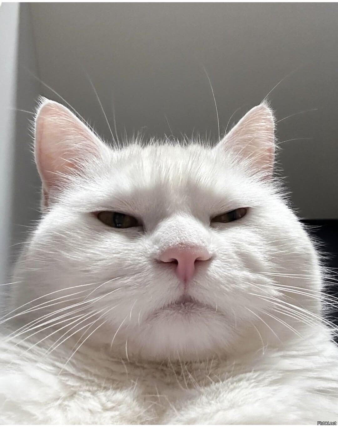 Доброе утро