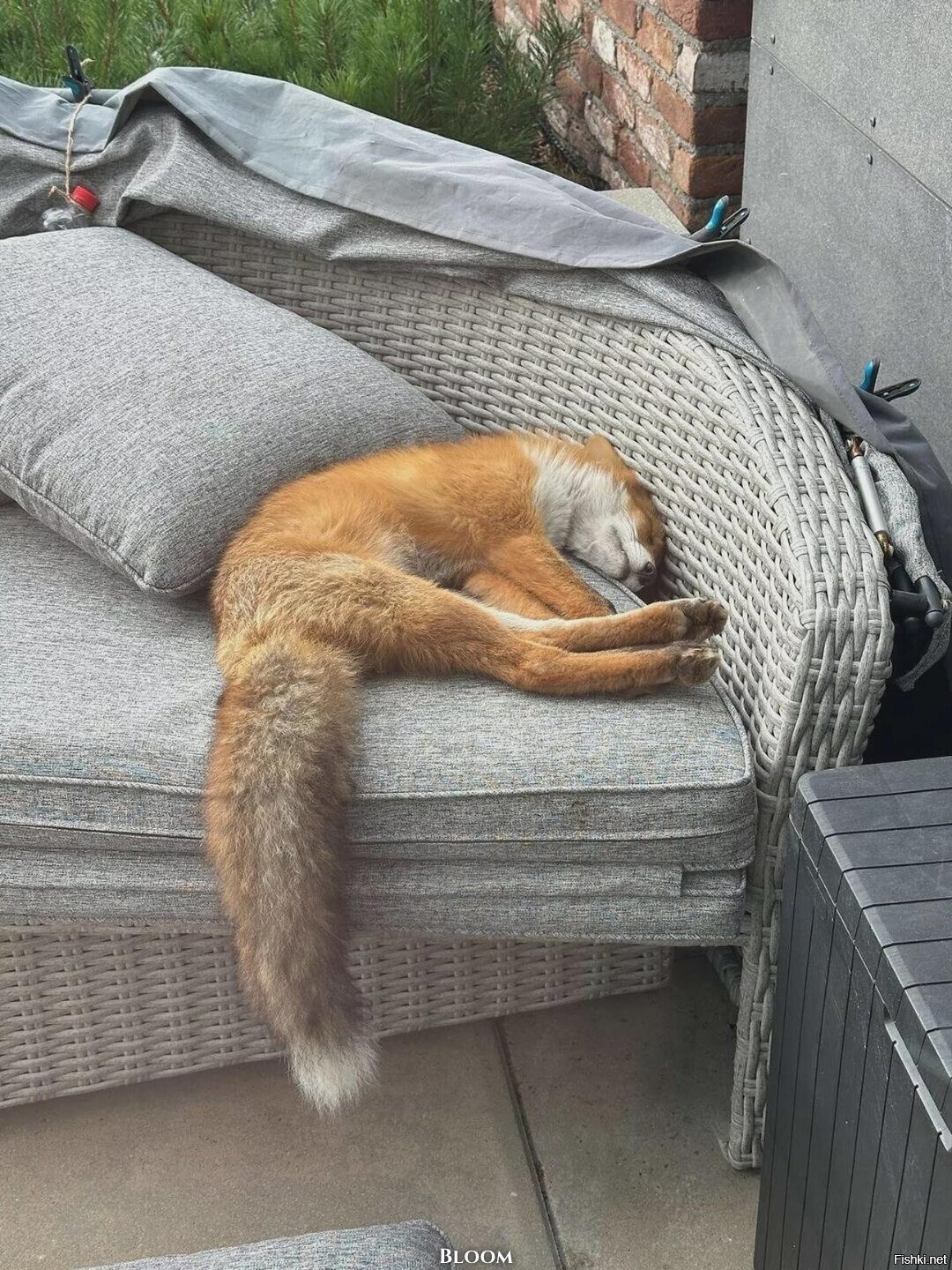 С добрым утром