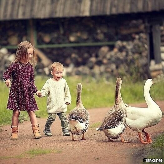 Держись, брат