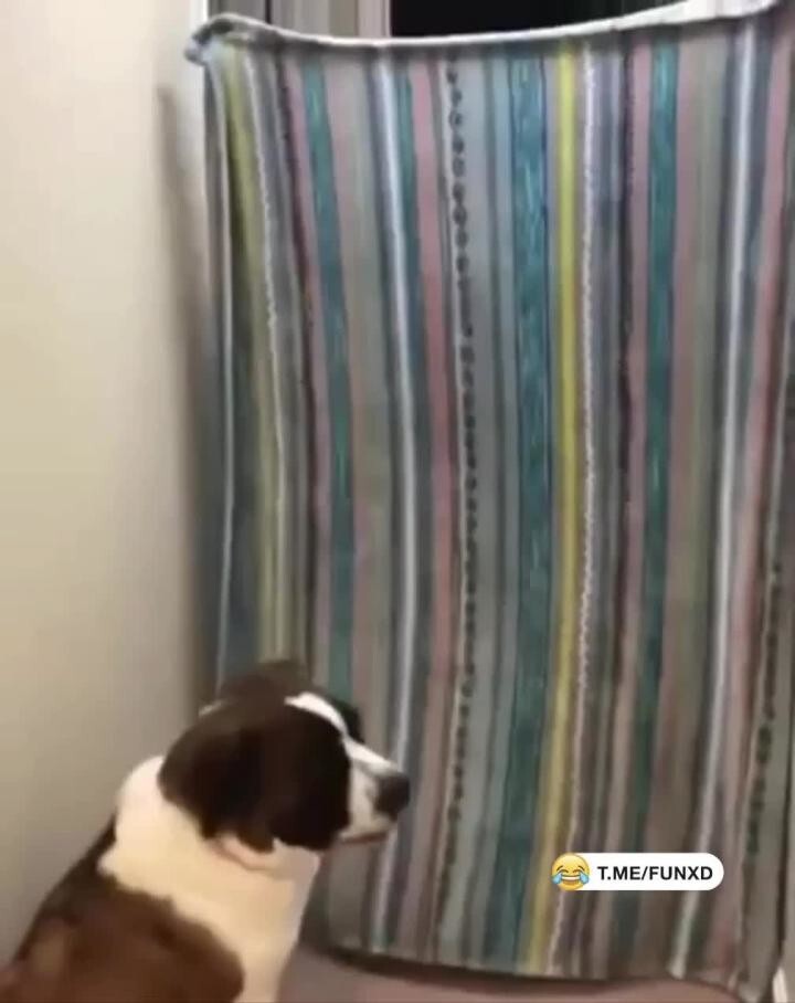 Не туда отскочила (фокус не удался) 