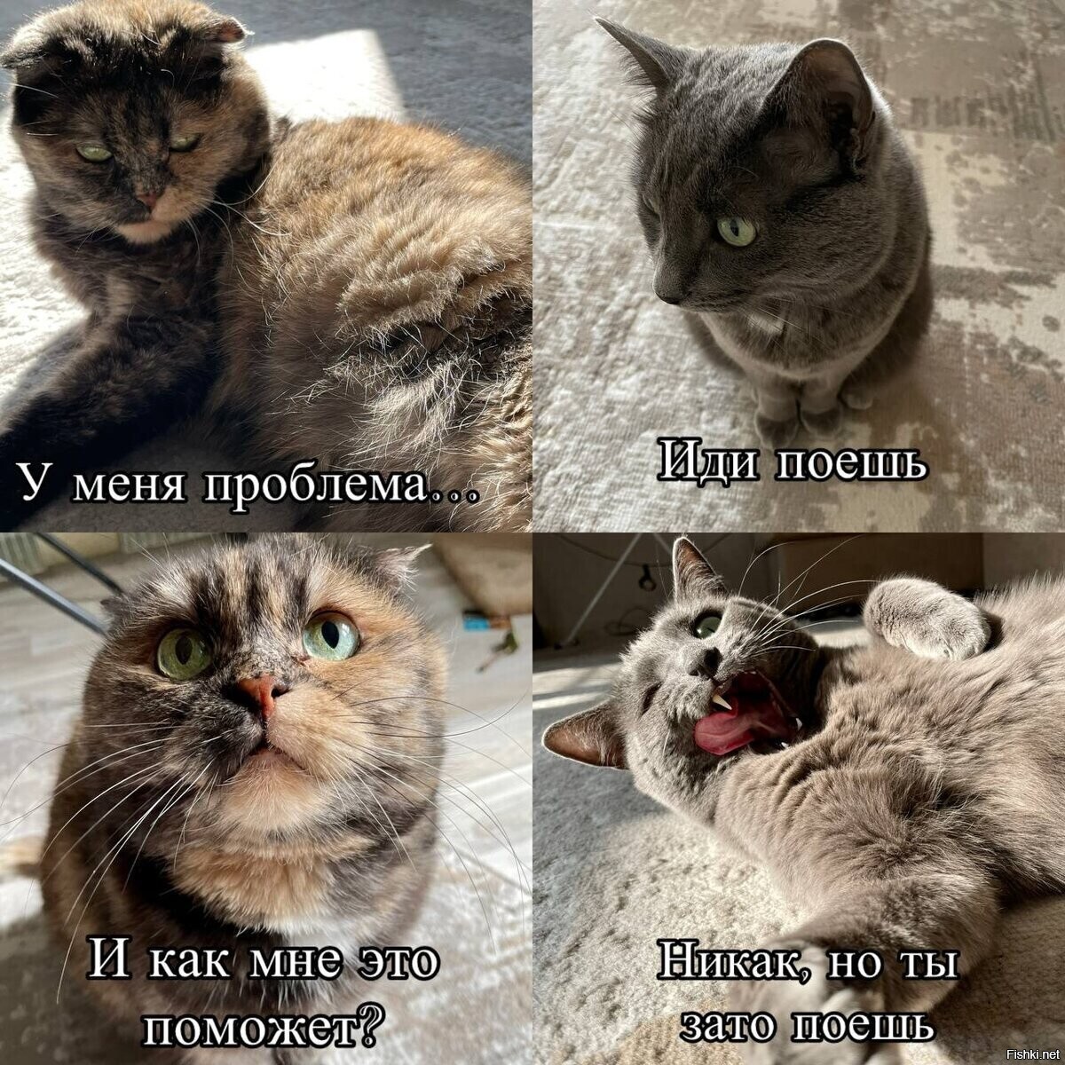 Солянка