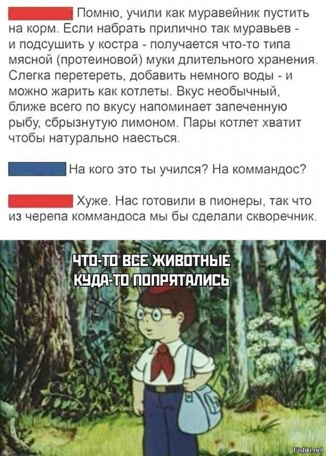 Солянка