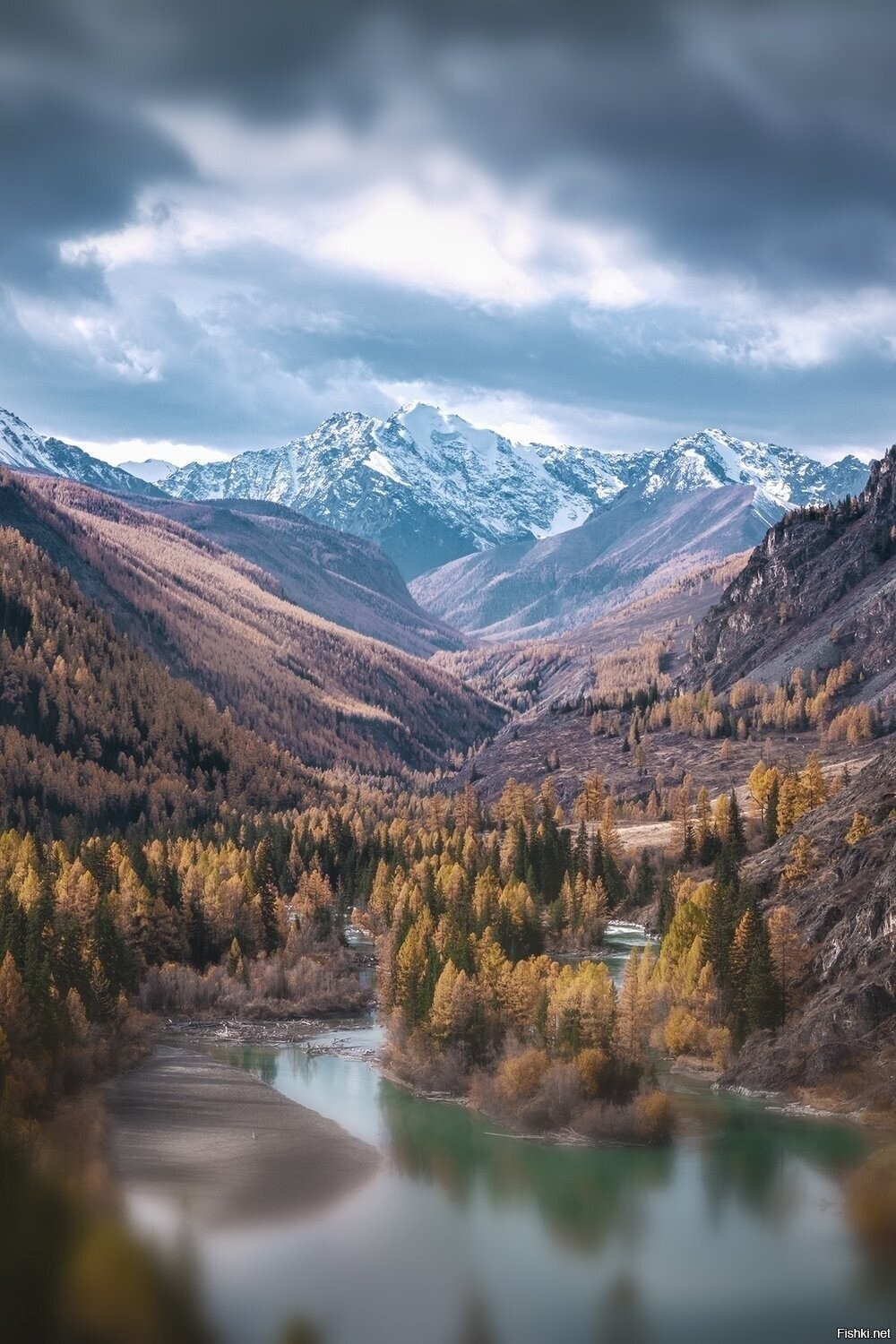 Осенний Горный Алтай, Курай