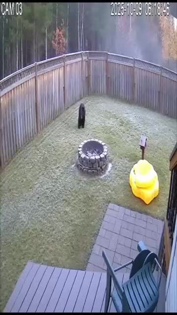 Тоже из дачного чата