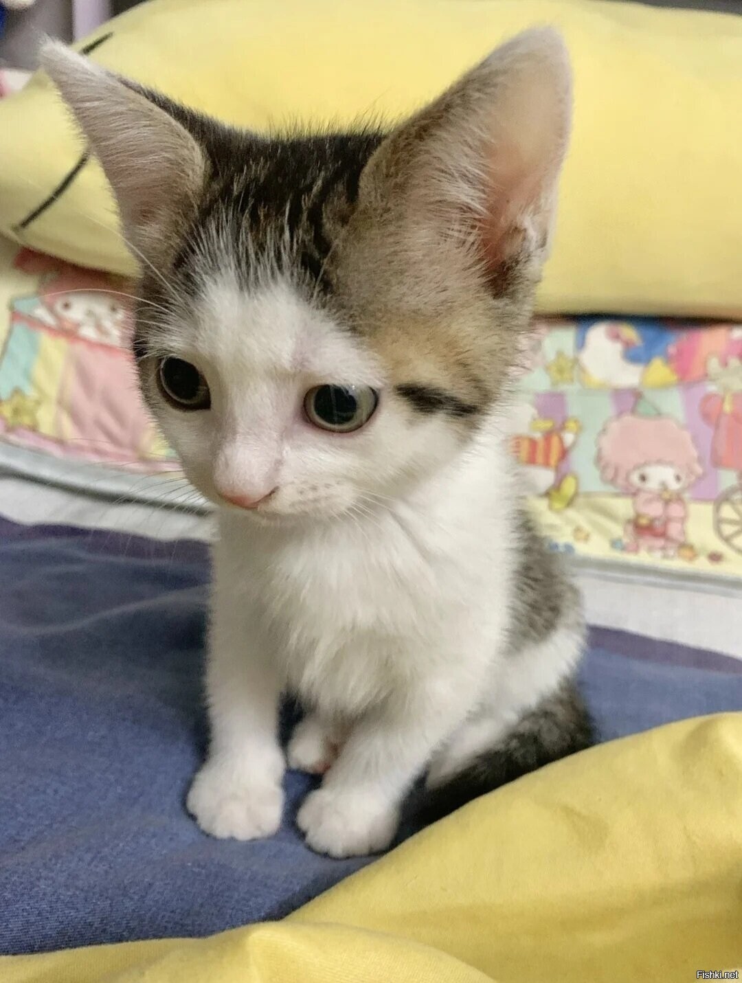 Доброе утро