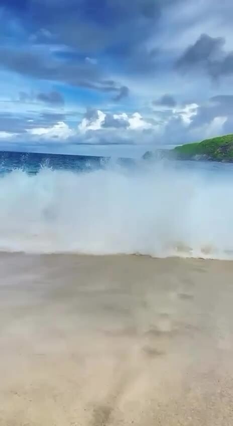 Слабоумие и отвага