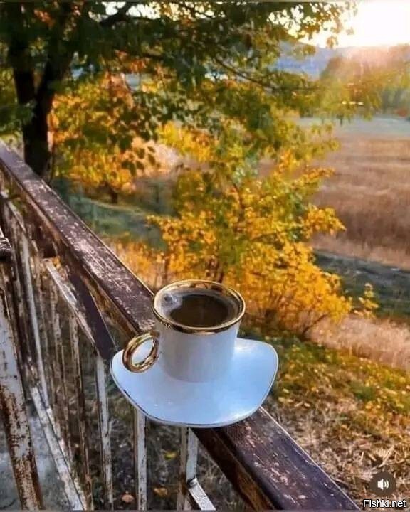 С добрым утром