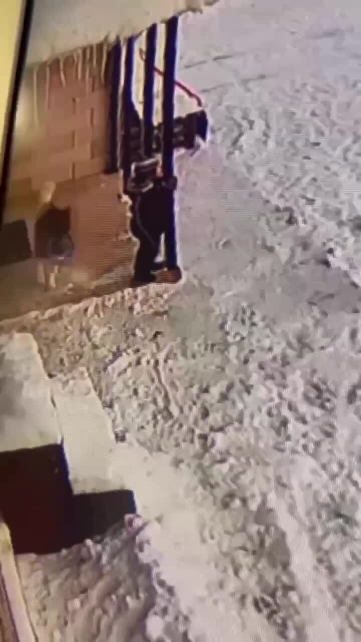 Жизненный опыт через 3