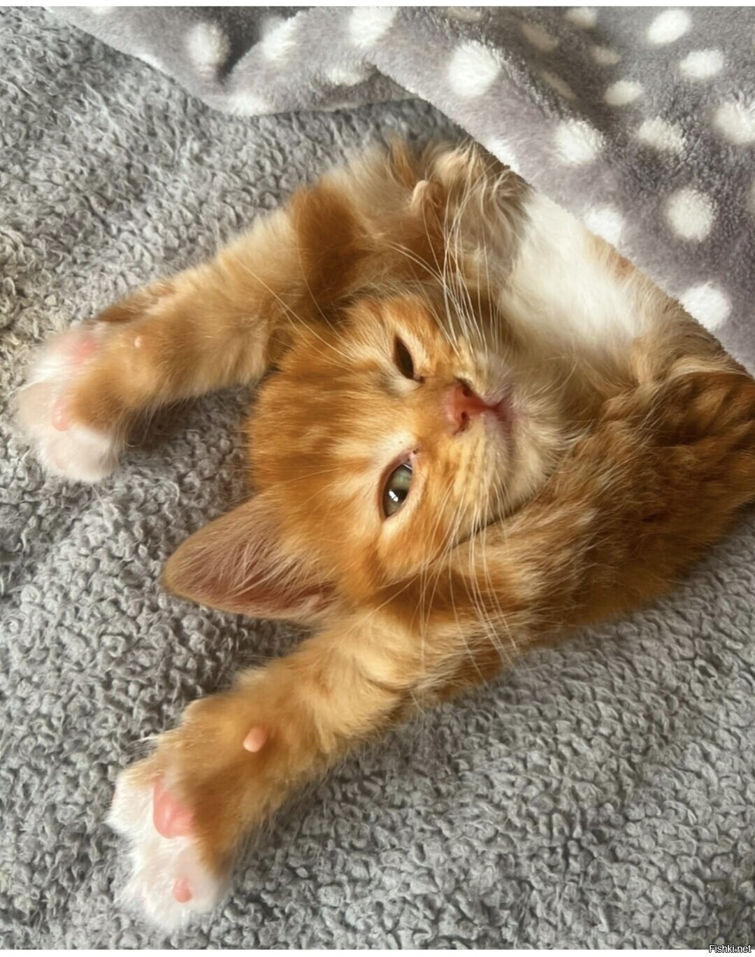 Доброе утро