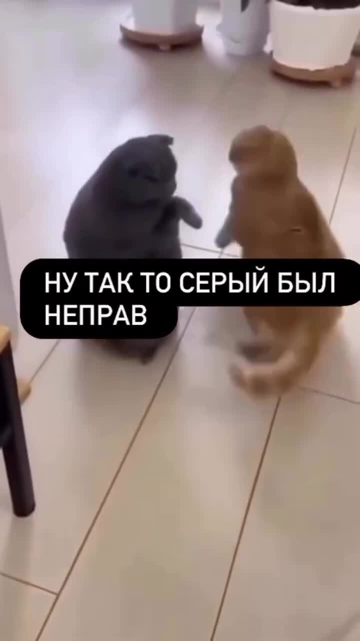 Серый крайний)