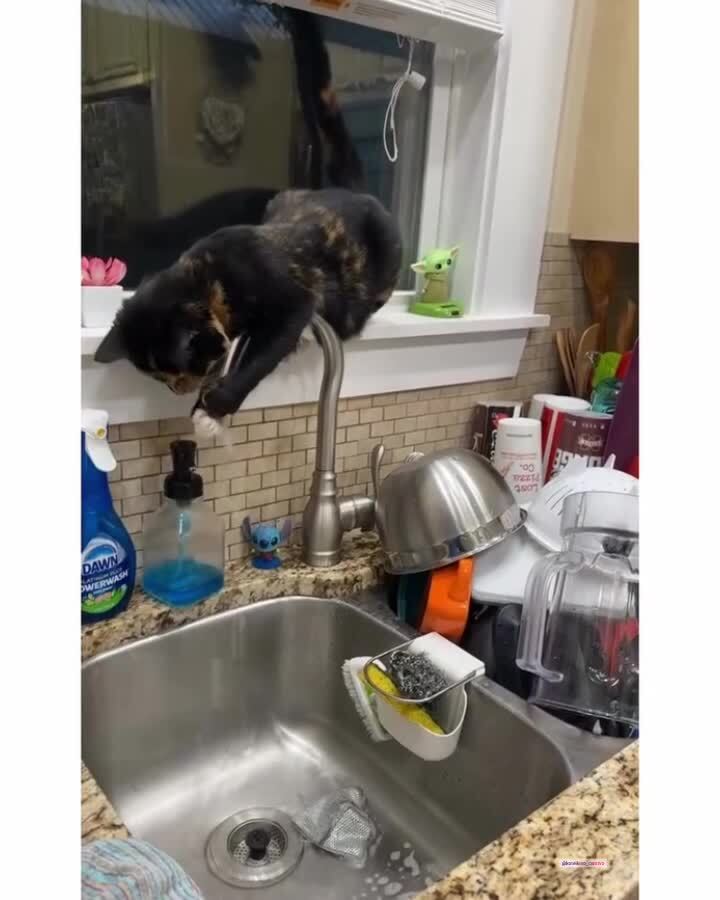 Суету наводит)