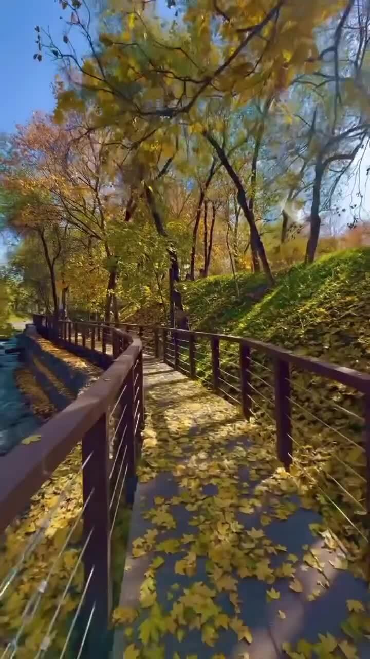 Алматинская осень