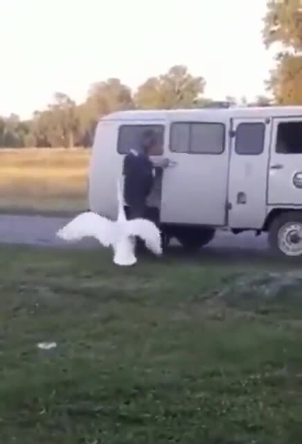 Хозяин приехал )))