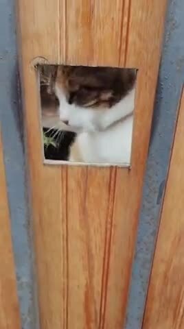 Никто не должен трогать наблюдательный пункт