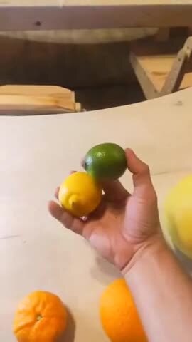 Цитрусовая санта-барбара