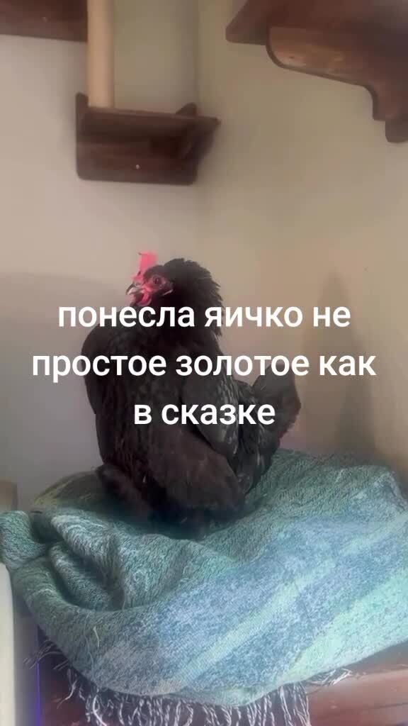 Доставка на дом