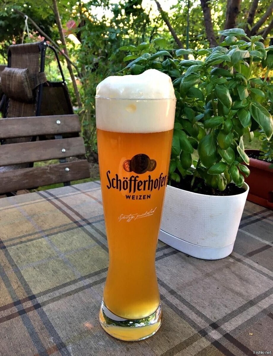 До лета осталось 220 дней