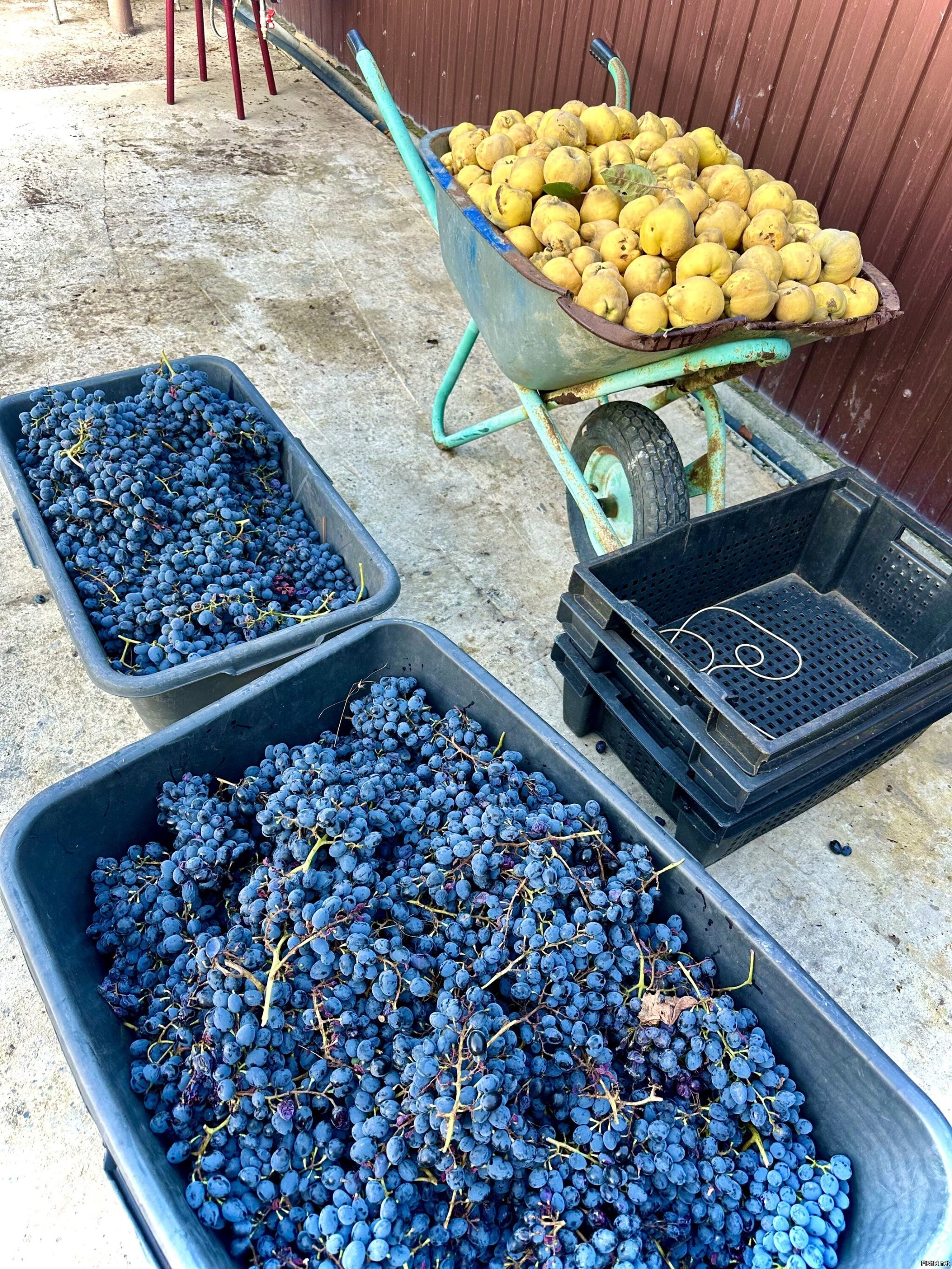 Покой нам только снится)))