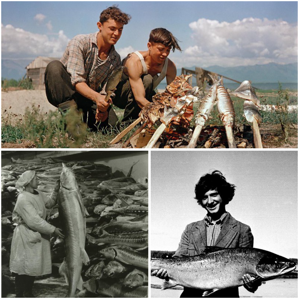 «Ловись рыбка большая...» Рыболовный бум в СССР. Четверг, рыбный день однако