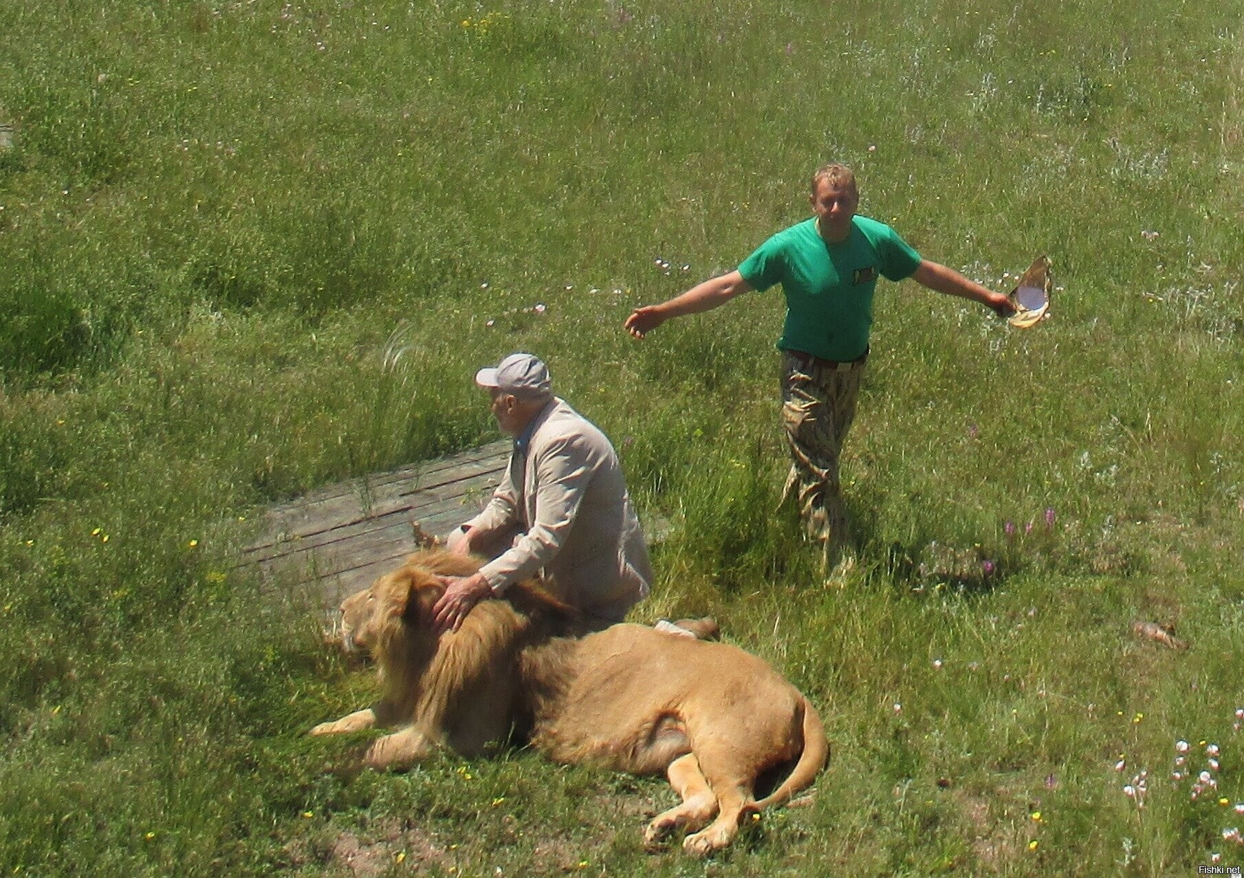 Олег Зубков, Николай Дроздов и лев Цезарь в крымской саванне