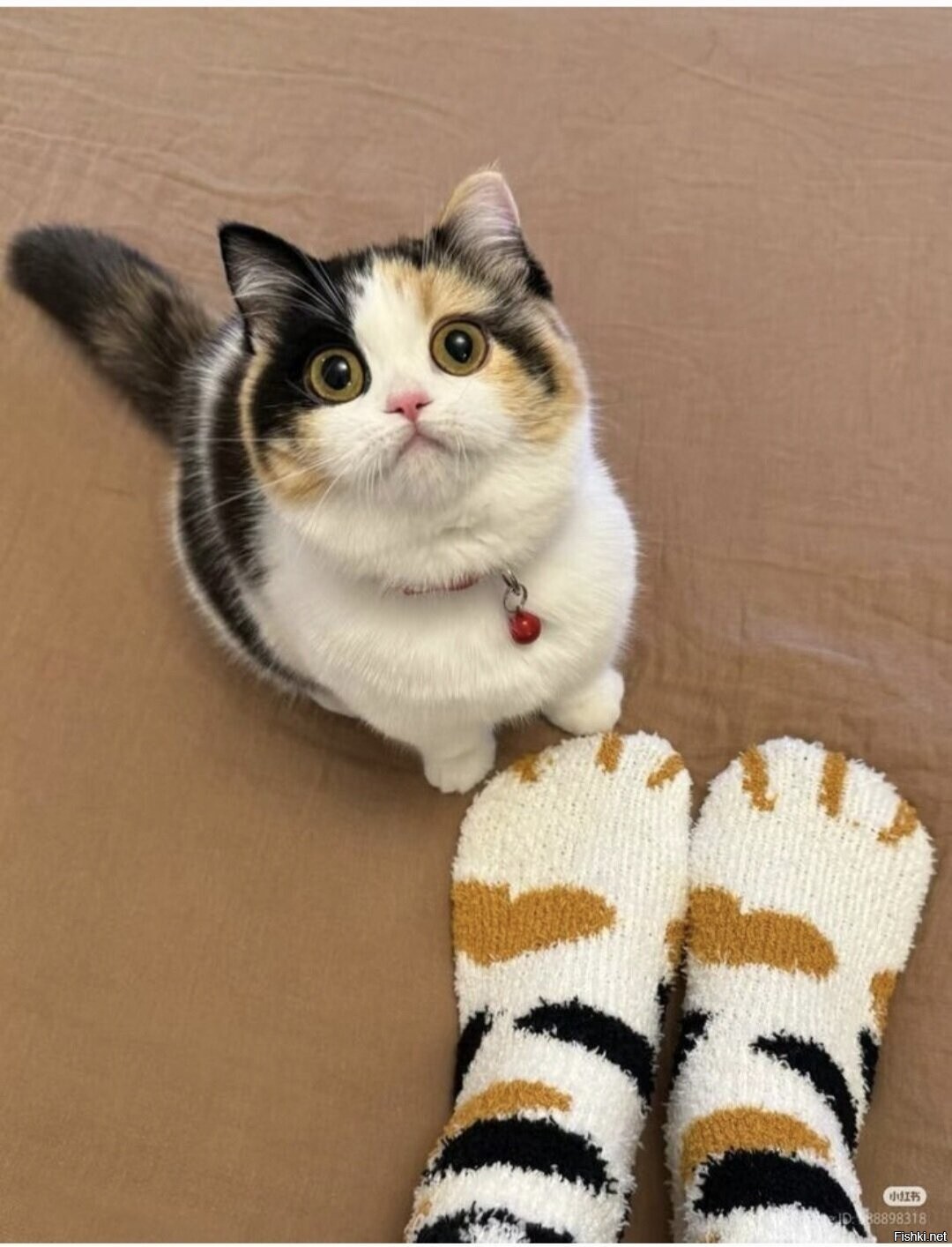 Доброе утро